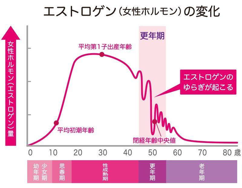 エストロゲン