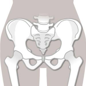 【理学療法士監修】股関節の外旋が苦手な人は「大腿骨の前捻角」が原因？負担を軽減する練習法