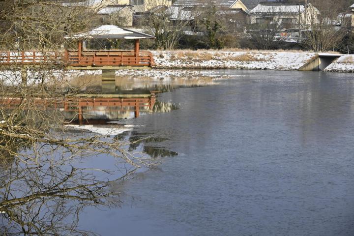 今季最低の氷点下８・６度を観測し、大部分が凍った笛ケ滝公園の馬頭池＝３１日午前８時２０分ごろ、久万高原町上野尻（撮影・樋口和至）