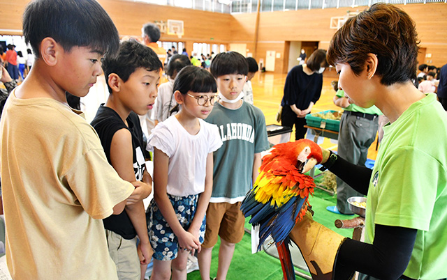 アカコンゴウインコを興味深く見つめる児童たち＝鶴岡市・湯野浜小