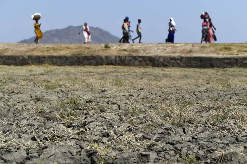 アフリカ南部マラウイの東部サリマ郊外にある干上がった田んぼと地元住民ら＝２０２４年１１月（共同）