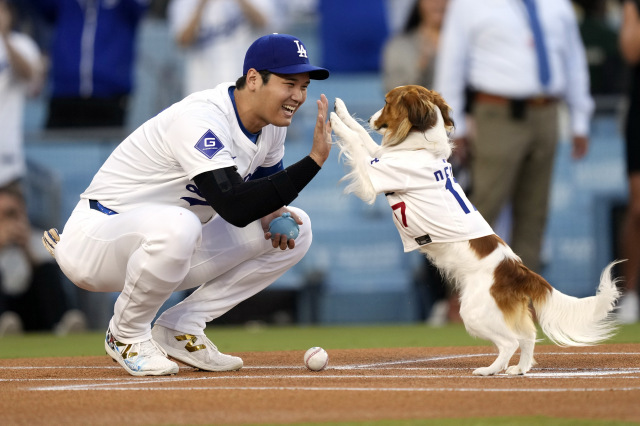 始球式に臨んだ大谷翔平とデコピン　写真：APアフロ