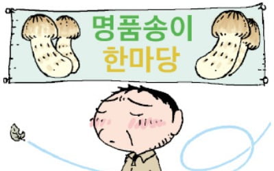 꽃 없는 퍼플섬·씨마른 송이…폭염에 망친 지역축제