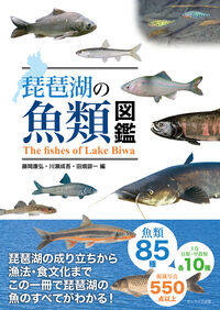 琵琶湖の魚類図鑑