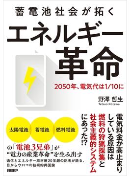 蓄電池社会が拓く エネルギー革命