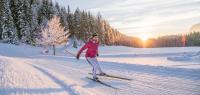 Österreich: Im Tiroler Pillerseetal gibt es mehrere Langlaufstrecken, die auch für Anfänger geeignet sind