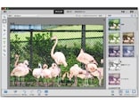 簡単操作で写真を仕上げるPhotoshop Elements 14