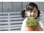 3歳から4歳学習法……将来伸びる能力の基礎を創る！