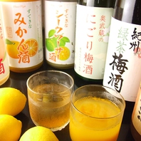 梅酒・果実酒も豊富♪