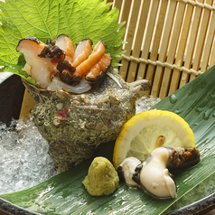 隠岐の島サザエお造り／大森島周辺の荒波が生む、長いツノとコリコリ食感