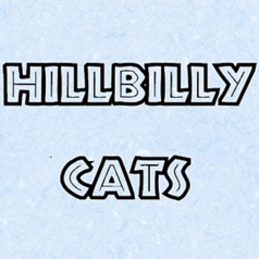 カラオケステージHILLBILLYCATSの写真