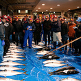 当店でご提供する鮮魚は、毎朝目利きが厳選した旬鮮魚ばかり！その日水揚げされた鮮魚の旨みは格別です。新鮮でなければ味わえない魚本来の旨みや甘みを豊富なドリンクとご一緒にお愉しみ下さい。日によって『高級魚 のど黒』の入荷も！