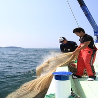 【産地直送】朝採れ新鮮生しらす