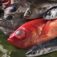 店主こだわりの新鮮な魚