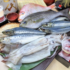 国産牛もつ鍋&鮮魚 居酒屋 魚雅 うおまさ 市ヶ谷店の特集写真