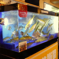 店内奥の水槽は要チェック！お好きな魚を捌きます★