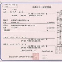 ■証明書発行の本物のアグー純血統種！