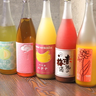 日本酒だけじゃない！果実酒も充実◎