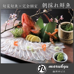 海鮮炉端 MARUKYU 黒崎店の特集写真