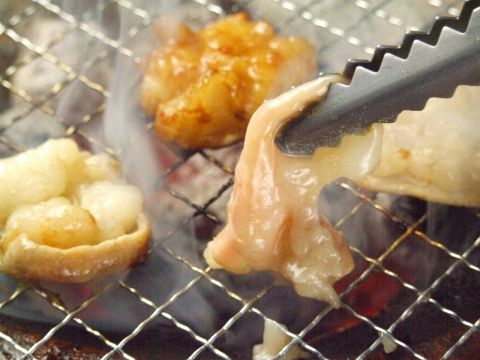 【新鮮ホルモン】江古田でぷりぷりのホルモンを味わえる焼肉店 