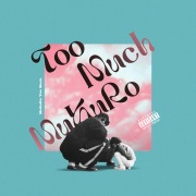 Too Much (Remix)