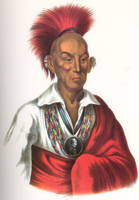 Chief Black Hawk3.jpg