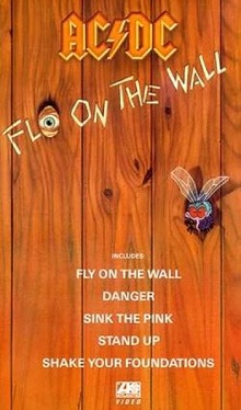 Fly on the Wall video.jpg