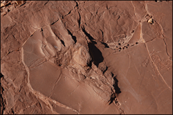 Prehistoric-trackways-01.gif