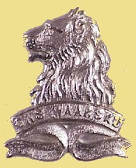 REGIMENT DE LA REY BADGE.jpg