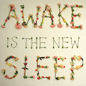 Ben Lee - Awake Is The New Sleep.jpg