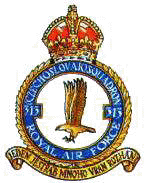 RAF313Sq.gif