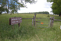 Fingerlakesnationalforest-trail.jpg