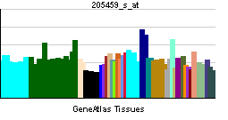 PBB GE NPAS2 205459 s at tn.png