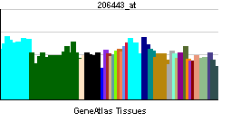 PBB GE RORB 206443 at tn.png