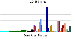 PBB GE PLAT 201860 s at tn.png