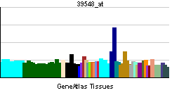 PBB GE NPAS2 39548 at tn.png