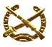 Vietnam Border Defense Force symbol.jpg