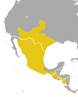 Conepatus leuconotus range.PNG