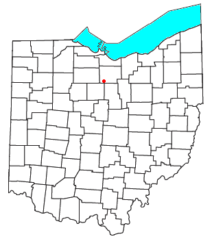 Location of Celeryville, Ohio