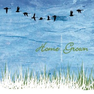 Home Grown - When It All Comes Down cover.jpg