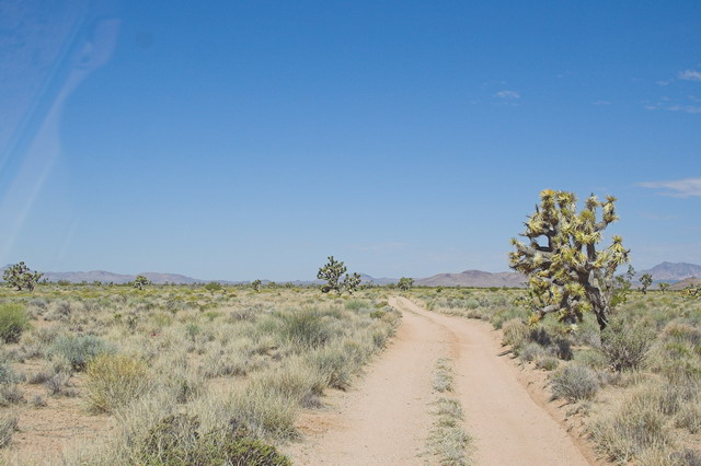 Caption:This road, established by Jerry Smith, leads to private property which is owned and maintained by residents dedicated to desert conservation