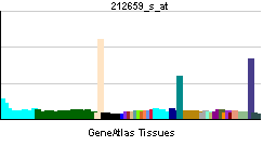 PBB GE IL1RN 212659 s at tn.png