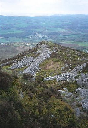 Mynydd Carningli - geograph.org.uk - 27994.jpg