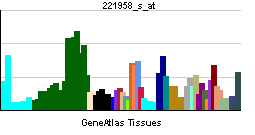 PBB GE GPR177 221958 s at tn.png