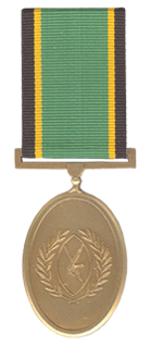 Gold Service Medal.jpg