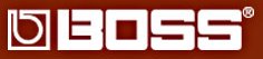 BOSS logo.jpg