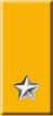 4 division collar insignia livorno.jpg