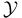 \mathcal{Y}