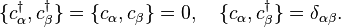 \{c_\alpha^\dagger,c_\beta^\dagger\}=\{c_\alpha,c_\beta\}=0,\quad \{c_\alpha,c_\beta^\dagger\}=\delta_{\alpha\beta}.