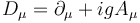 \ D_\mu = \partial_\mu + i g A_\mu 